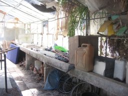 מורשת  &raquo; חממות ריבוי